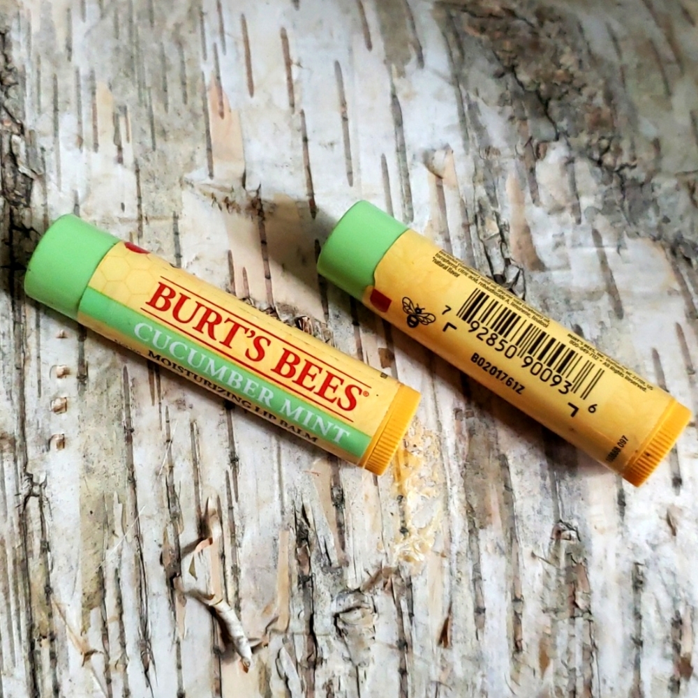 Burt’s Bee Cucumber Mint Moisturizing Lip Balm NEW Sealed